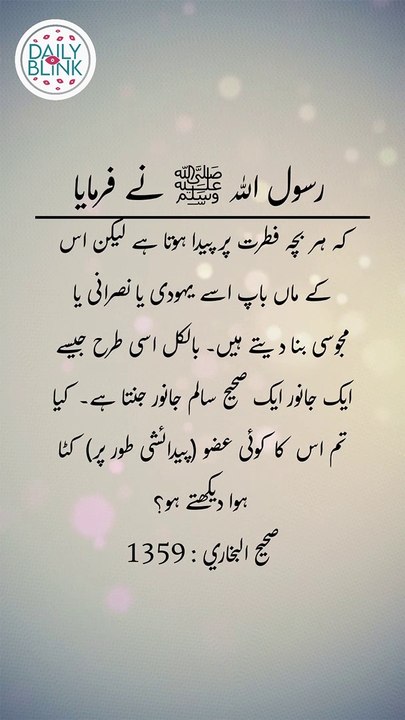 Daily Hadees | Hadees Sharif | Sahih Bukhari 1365 || Daily Blink #shorts #viral