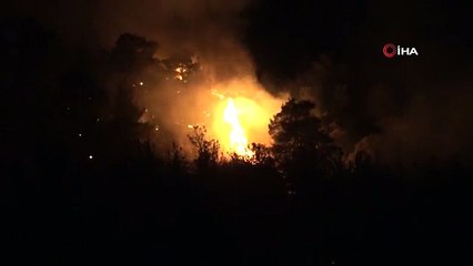 Çanakkale'de orman yangını