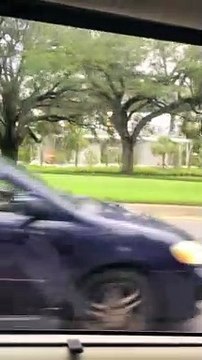 Florida Attractions a Walt Disney World Resorts 2023