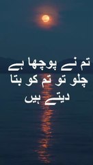 Tum Ne Pocha Hay Chalo Tum Ko Bata Dete Hain | poetry