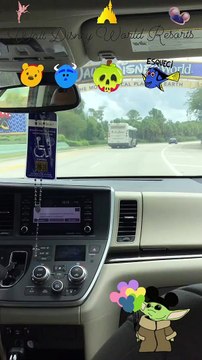 Florida Attractions a Walt Disney World Resorts 2023