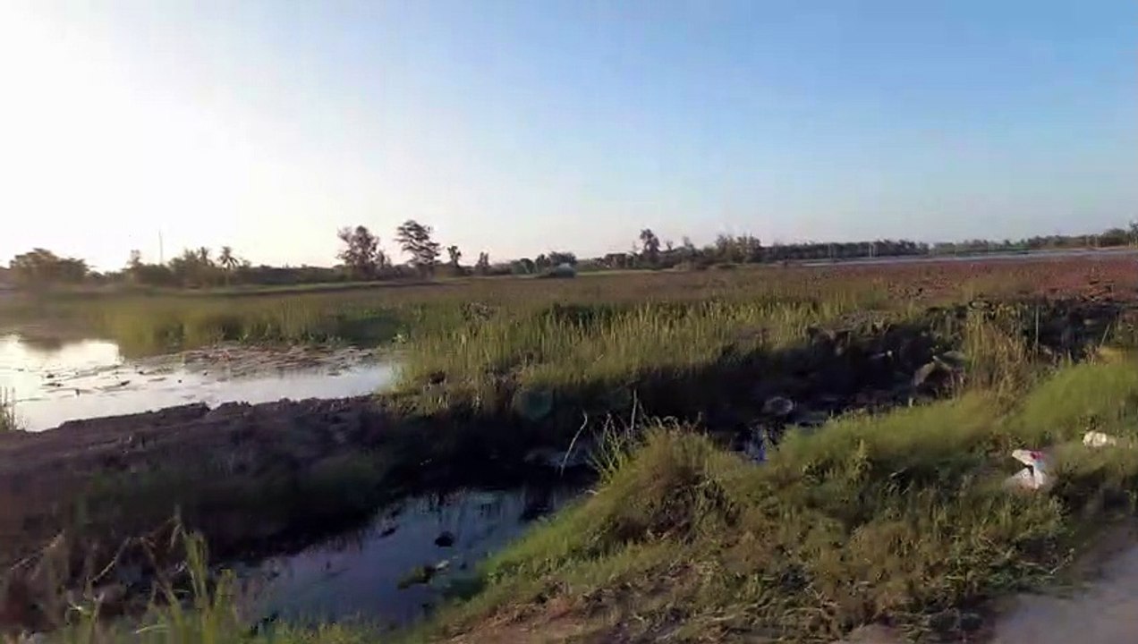 Gentle walking Hoi An travel tour village