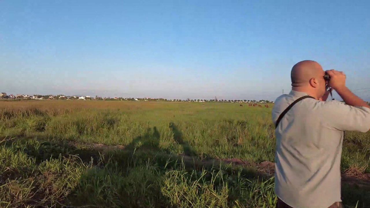 walikng 4k viet nam hoi an asmr