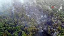 Çanakkale'deki orman yangınına günün ilk ışıklarıyla hava müdahalesi başladı