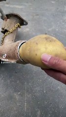 Ninja gadgets!Smart appliances, Unique Items-Utensils For the Kitchen[Makeup&Beauty]