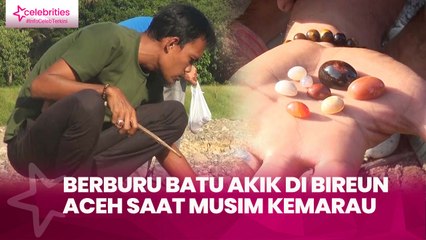 Berburu Batu Akik di Bireun Aceh saat Musim Kemarau, Bisa Untung Jutaan Rupiah