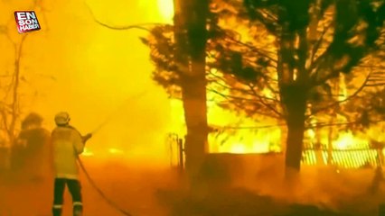 Dünyada son 10 yılda yaklaşık 82 milyon hektar ormanlık alan yandı