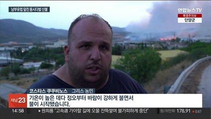 남유럽 덮친 산불…그리스·이탈리아서 인명 피해 속출