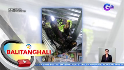 Bahay sa Novaliches, nabagsakan ng puno | BT