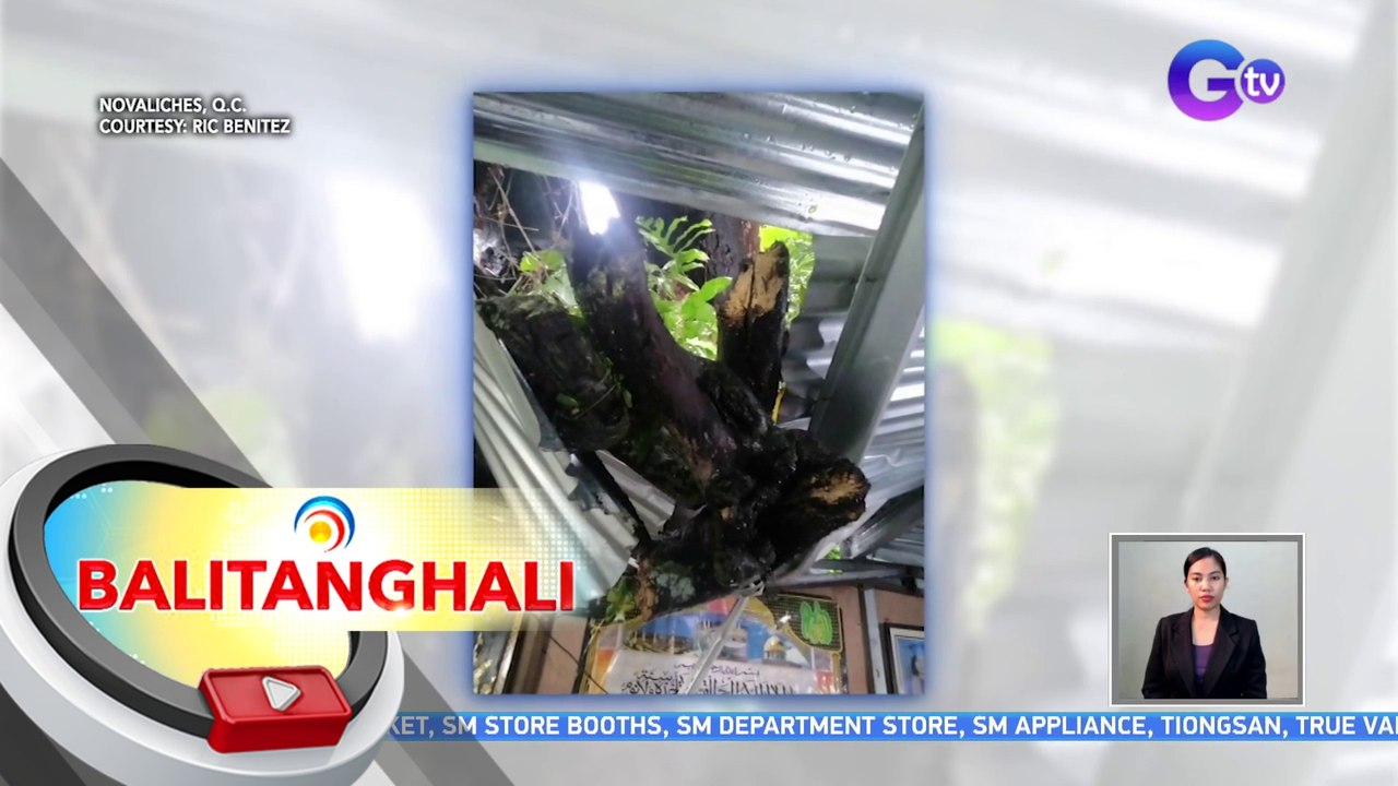 Bahay sa Novaliches, nabagsakan ng puno | BT