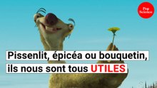 Avec la biodiversité, nous vivons dans un réseau social géant