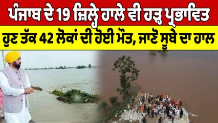 Download Video: Punjab ਦੇ 19 ਜ਼ਿਲ੍ਹੇ ਹਾਲੇ ਵੀ ਹੜ੍ਹ ਪ੍ਰਭਾਵਿਤ, ਹੁਣ ਤੱਕ 42 ਲੋਕਾਂ ਦੀ ਹੋਈ ਮੌਤ |OneIndia Punjabi