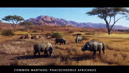 Way of the Hunter   Animals of Tikamoon Plains Trailer