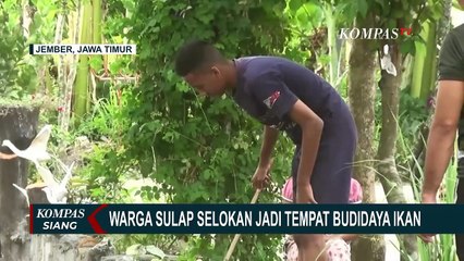 Warga Jember Ubah Selokan Jadi Sarana Bermain dan Budidaya Ikan!