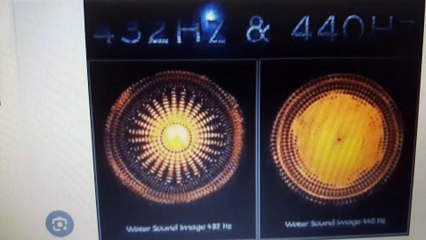 Found My Laugh Tale In Reality (One Piece In Real Life)