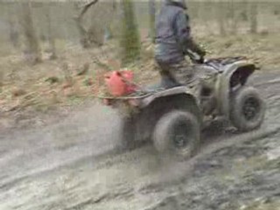 Grizzly en action