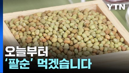 농진청, 국산 '팥순' 추출물 체지방 감소 효능 확인 / YTN