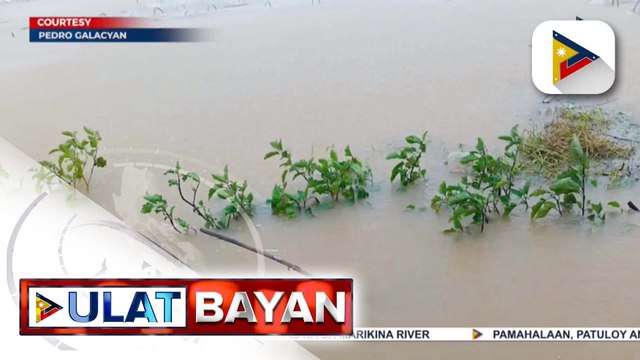 DA, nakapagtala ng P53M halaga ng napinsala ng Bagyong #EgayPH sa sektor ng agrikultura