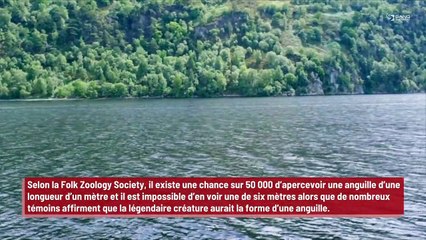 Des scientifiques affirment que le monstre du Loch Ness n’est ‘pas un monstre’
