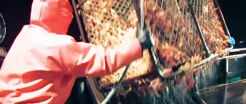 Harbinger Down Bande-annonce (ES)