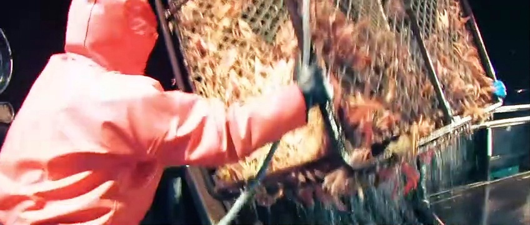 Harbinger Down Bande-annonce (ES)