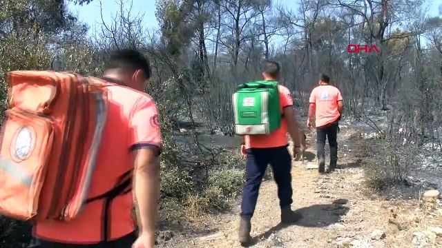 La possibilité d'un sabotage dans l'incendie de forêt à Manisa est à l'étude