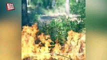 Orman Genel Müdürlüğü'nden paylaşım: Karşı ateş nedir?