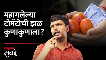 टोमॅटोला आलाय चिकनचा भाव! मुंबईकरांना काय वाटतंय?