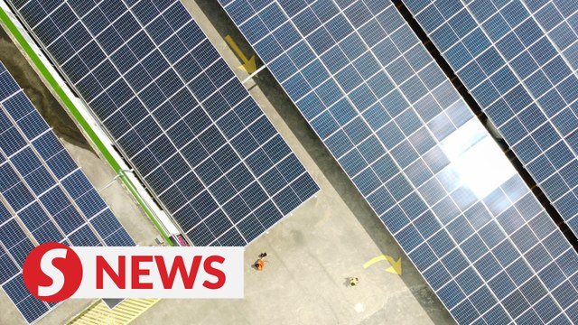 Govt to focus on large-scale solar rooftop housing projects under first phase of NETR