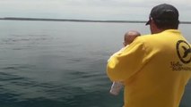 Whale Plays Peek A Boo With Baby | Wild-ish TV