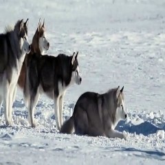 One of my favorite movies