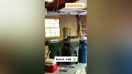 Pranks 2023 Funny Prank Jump Scare - Funny Video