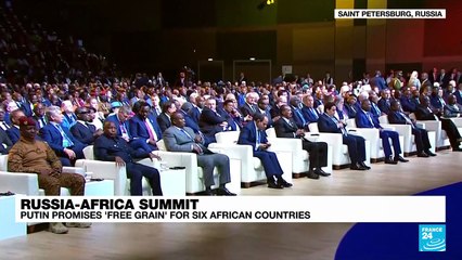 Putin promises free grain for six African countries at summit in Russia