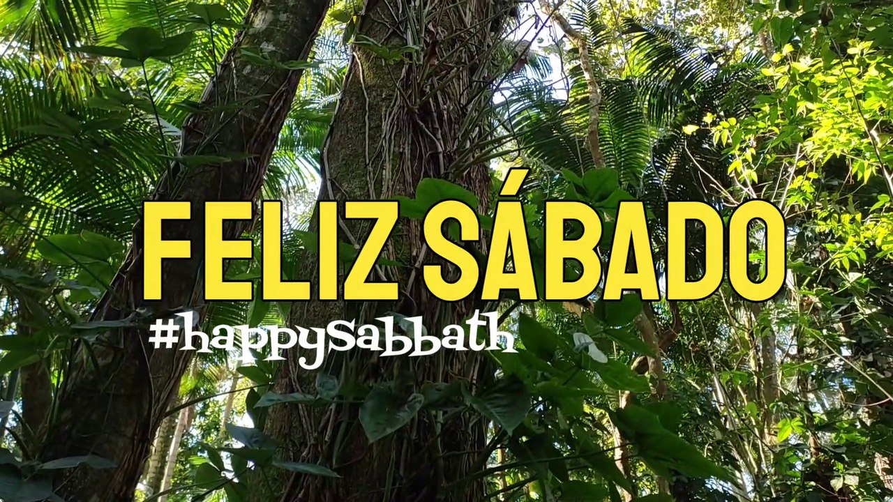 101 Seu maravilhoso olhar - Novo Hinário Adventista