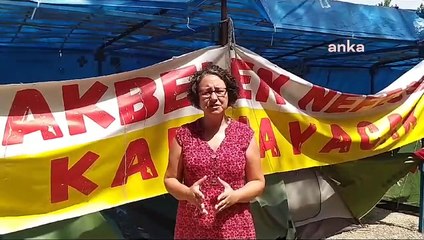 Interdiction des étrangers et d'entrée pour les écologistes qui s'opposent à l'abattage d'arbres à Muğla