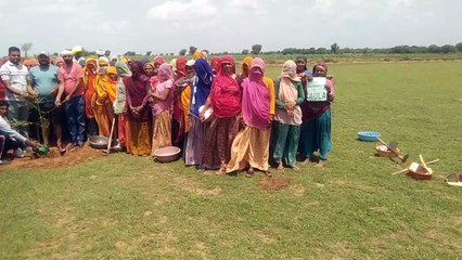 महिलाओं ने उत्साह के साथ रोपे सैकड़ों पौधे