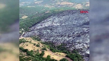 Kütahya'da 170 Hektar Orman Yangını Kontrol Altına Alındı