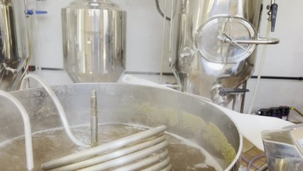 People left disgusted after realising that some beers contain fish bladder
