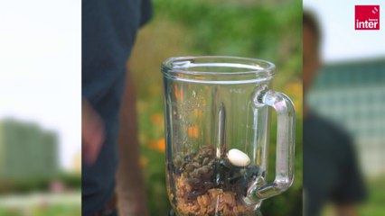 La thoïonade - Les recettes (d'été) de François-Régis Gaudry