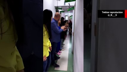 Vídeo comovente mostra cão baleado em assalto ser aplaudido ao sair do hospital