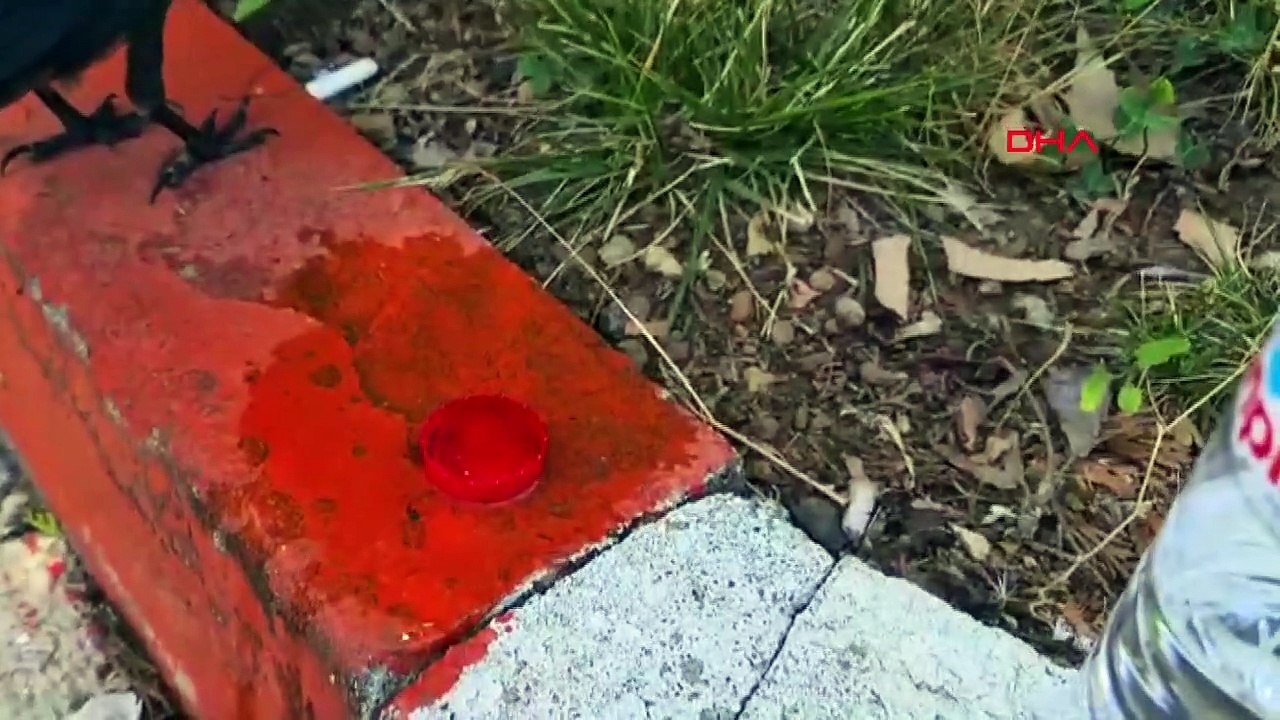 Le directeur de la presse et des relations publiques de l'Université de Bingol a sauvé le corbeau de la soif