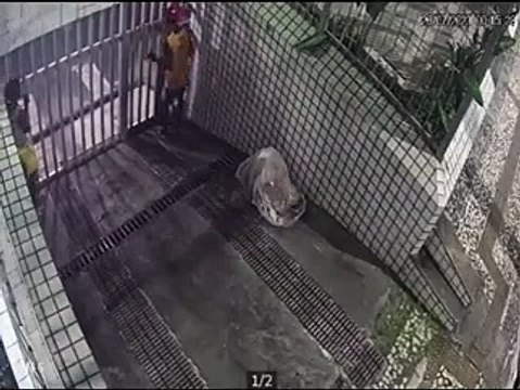 VÍDEO: Homens arrombam portão e fazem a limpa em prédio em bairro nobre de Salvador