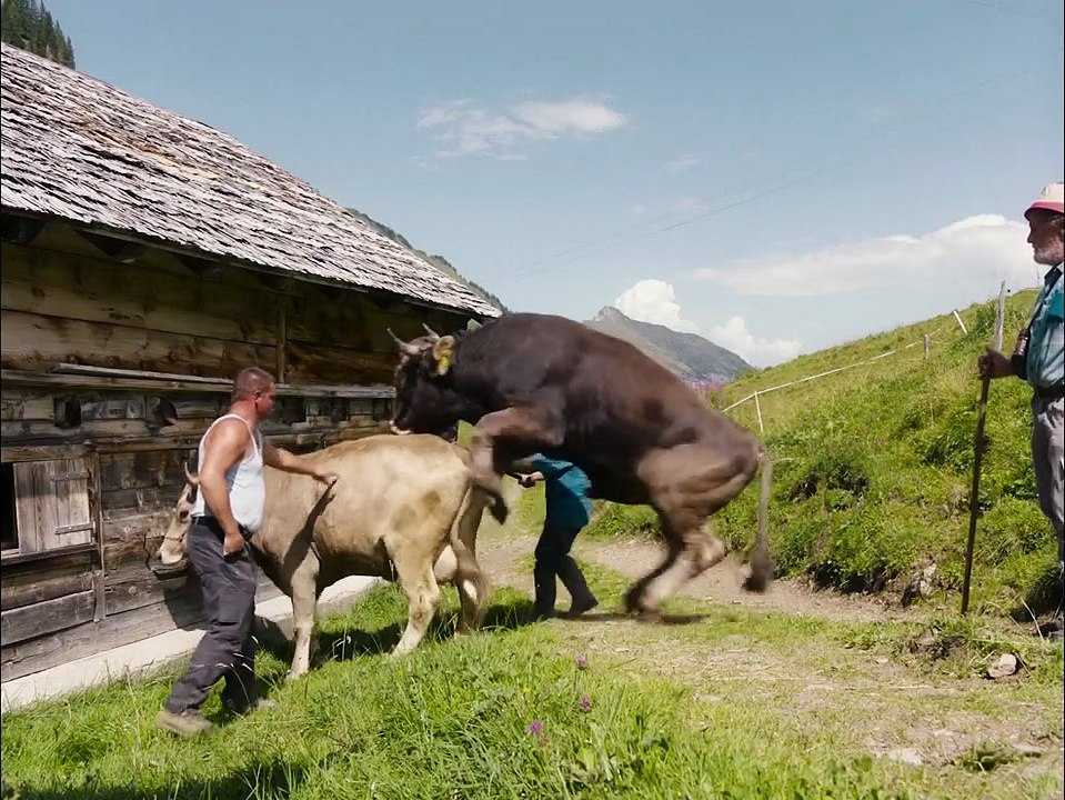 A Piece of Sky (Drii Winter) by Michael Koch - International Trailer