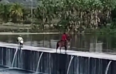 VÍDEO: Homem e cavalo caem em açude durante tentativa de atravessar barragem