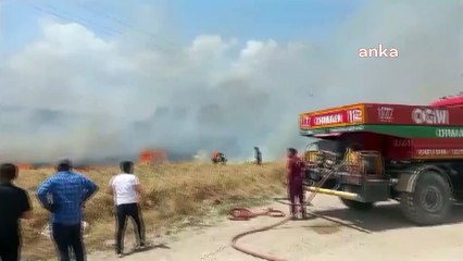 Feu de forêt à Gonen, Isparta
