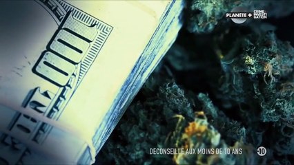 Histoire de gangs Le parrain de Boston