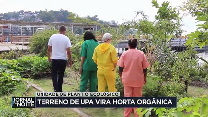 Terreno de UPA vira horta orgânica no Rio