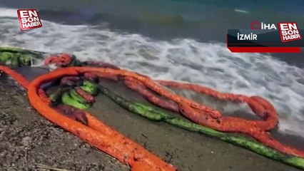 İzmir'de korkutan görüntü, petrol türevi atık sahili kirletti