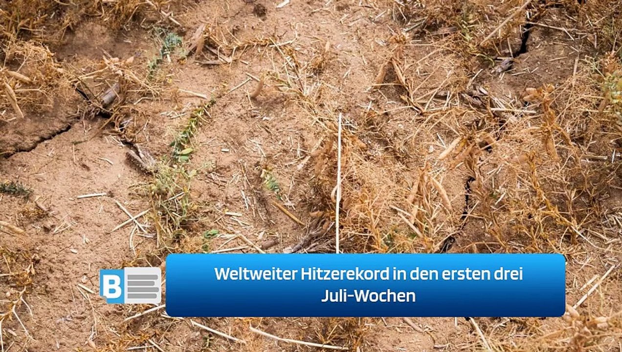 Weltweiter Hitzerekord in den ersten drei Juli-Wochen