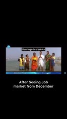 Software Job Openings after December| Tag to your Clients